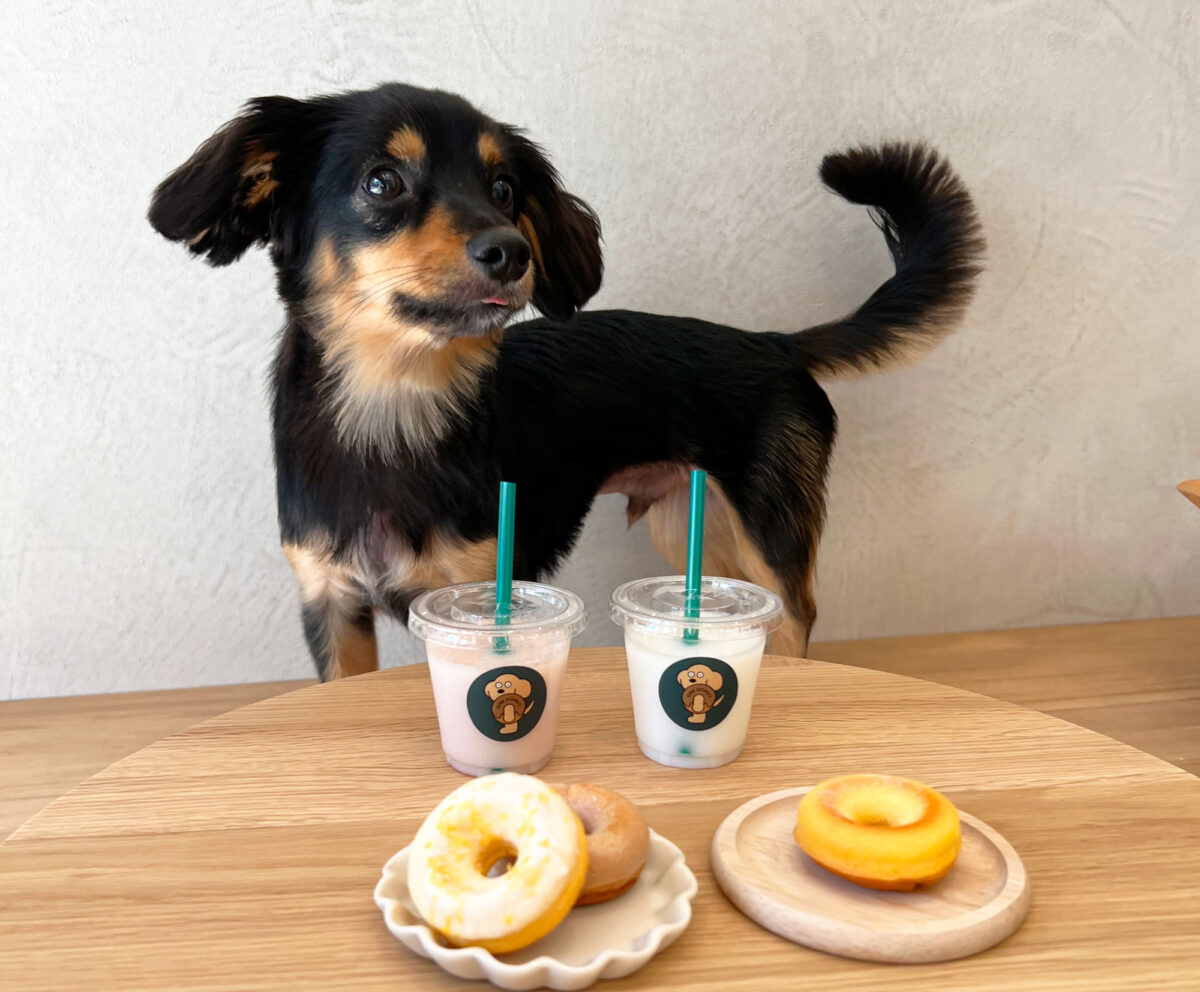 ONE DONUT